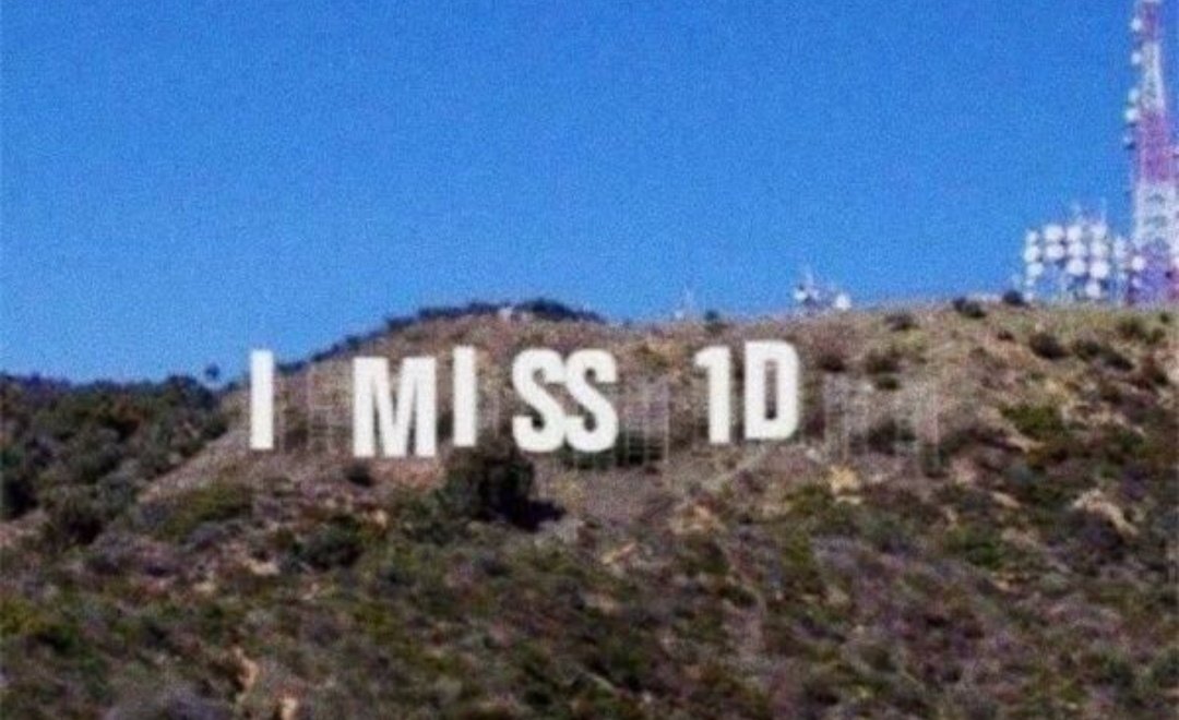 L0VEROFMINE's tweet image. sono passati 50 giorni dal 23 luglio...
#OneDirection #10YearsOfOneDirection