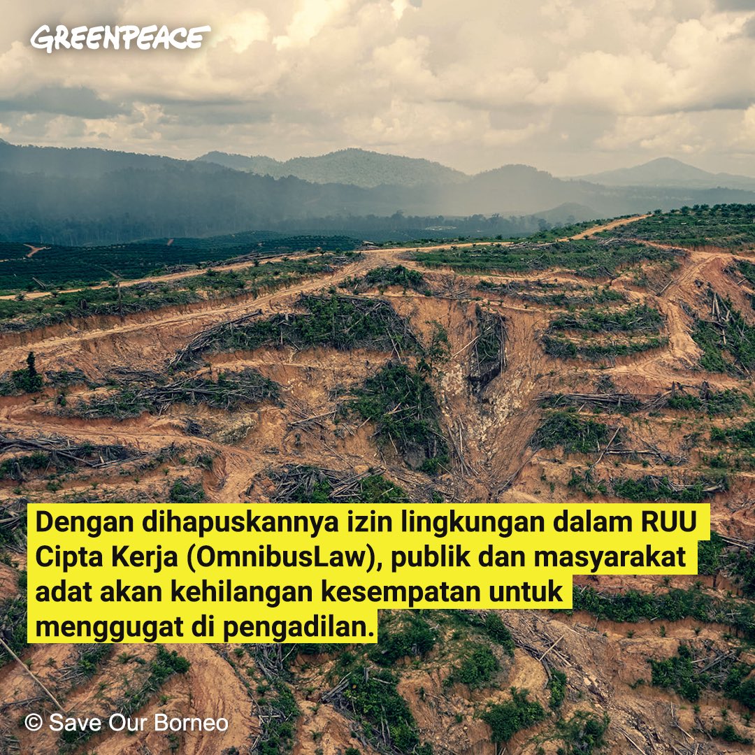 Sudah tak bisa mencari penghidupan, masyarakat Kinipan juga tak bisa melakukan apa-apa karena kehilangan kesempatan untuk menggugat di pengadilan.

#savekinipan #hutanadat