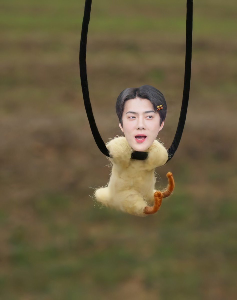 𐙚 babyseni 𐙚 tweet media