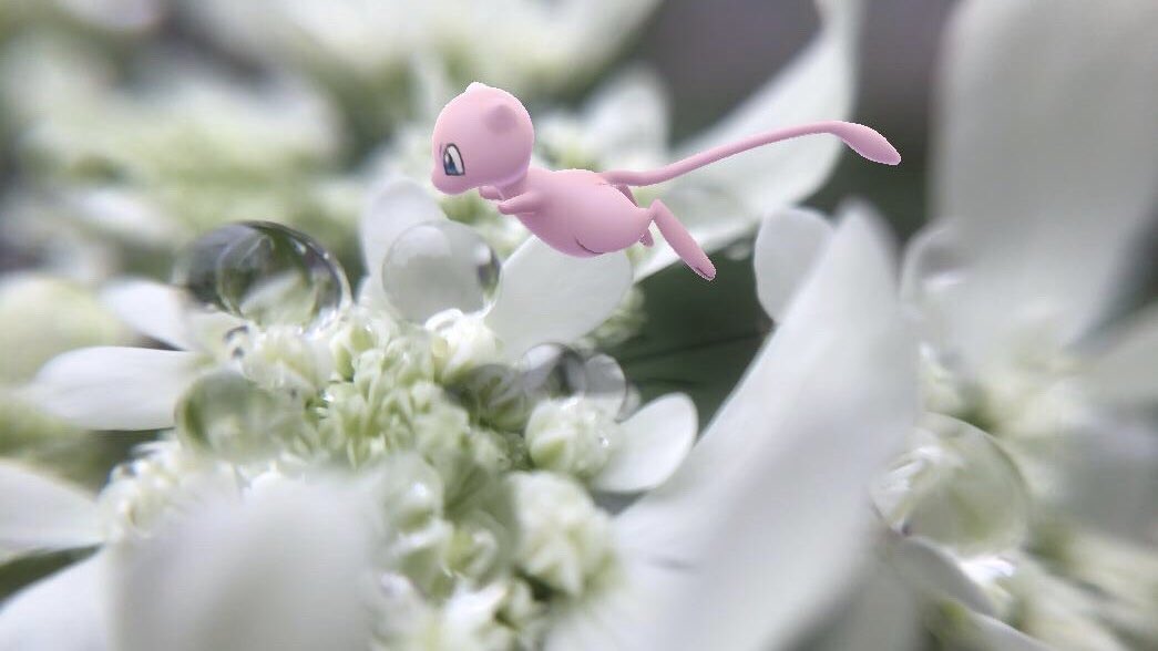 すごろく改めかるた tweet media