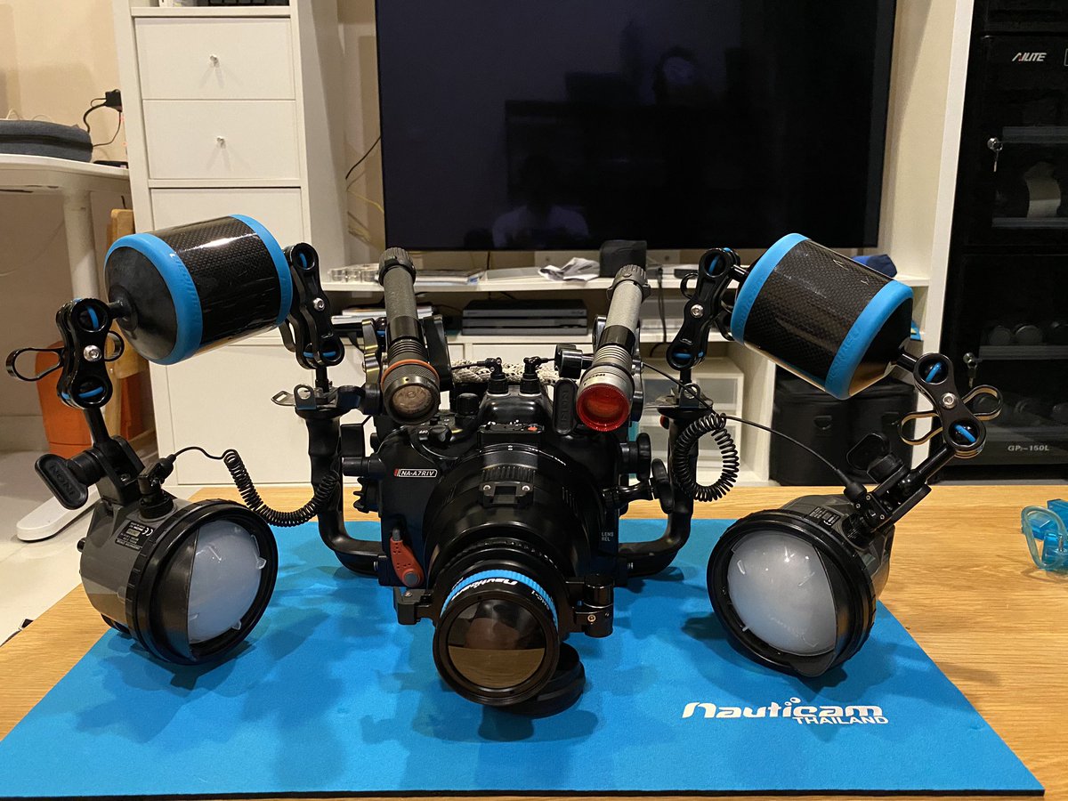 Nabejizo 明日の武装完了 レンズはmc 11を噛ませてcanonのマクロ 100ミリ Smc 1 rivとcanonのマクロは暗いとフォーカス大迷惑するのでフォーカスライトは必須 ひさしにgopro Rgblueで動画も 試射も終了 いでよウミウシ ダイビング 水中マクロ Nabejizo 明日の武装完了 レンズはmc 11を噛ませてcanonのマクロ 100ミリ Smc 1 rivとcanonのマクロは暗いとフォーカス大迷惑するのでフォーカスライトは必須 ひさしにgopro Rgblueで動画も 試射も終了 いでよウミウシ ダイビング 水中マクロ