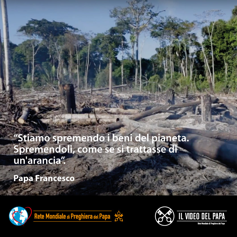 Dobbiamo riconoscere che non abbiamo saputo custodire il creato con responsabilità. @Pontifex_it non si stanca di ripeterlo: dobbiamo cambiare il nostro rapporto con il pianeta #TempoDelCreato @popesprayernet @gasmuha @VaticanIHD @CathClimateMvmt
youtu.be/BDWTokZEtzs