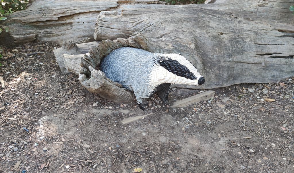 Spotted: a badger on the loose at @LEGOLANDWindsor! 😄 Who's seen other badger sculptures or artwork while out and about? #LoveBadgers