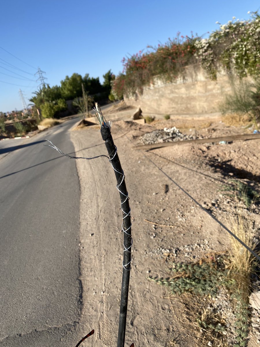 Baptiste tweet media