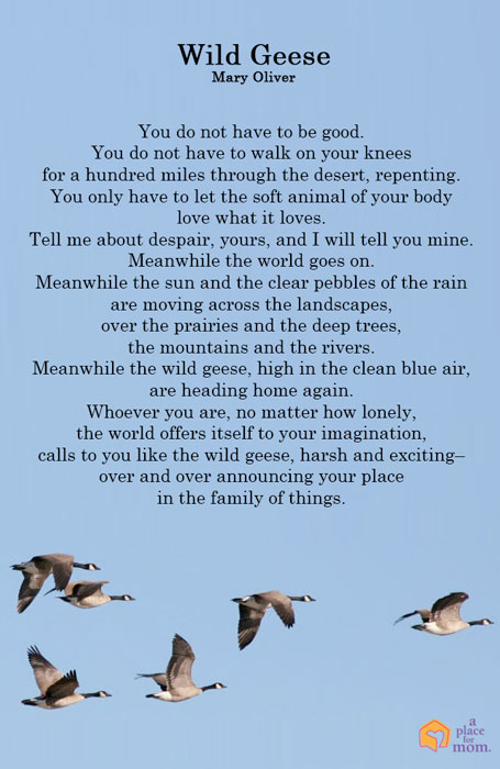 Happy Birthday, Mary Oliver 