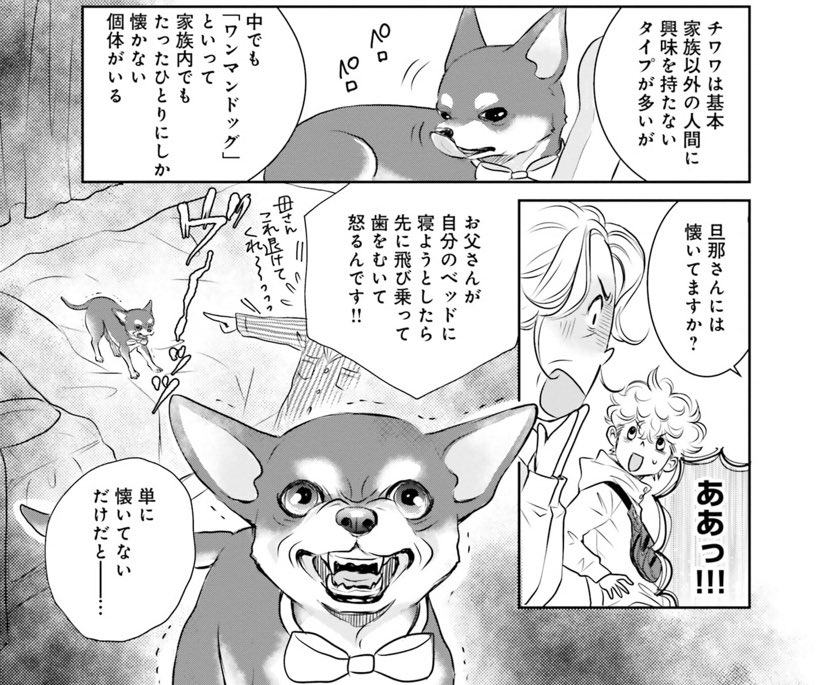 #怒ったチワワ
私の描いた怒ったチワワがこちらです。

マンガ試し読み↓
https://t.co/xSxNw0qgw3 