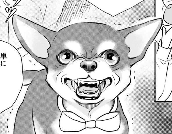 #怒ったチワワ
私の描いた怒ったチワワがこちらです。

マンガ試し読み↓
https://t.co/xSxNw0qgw3 