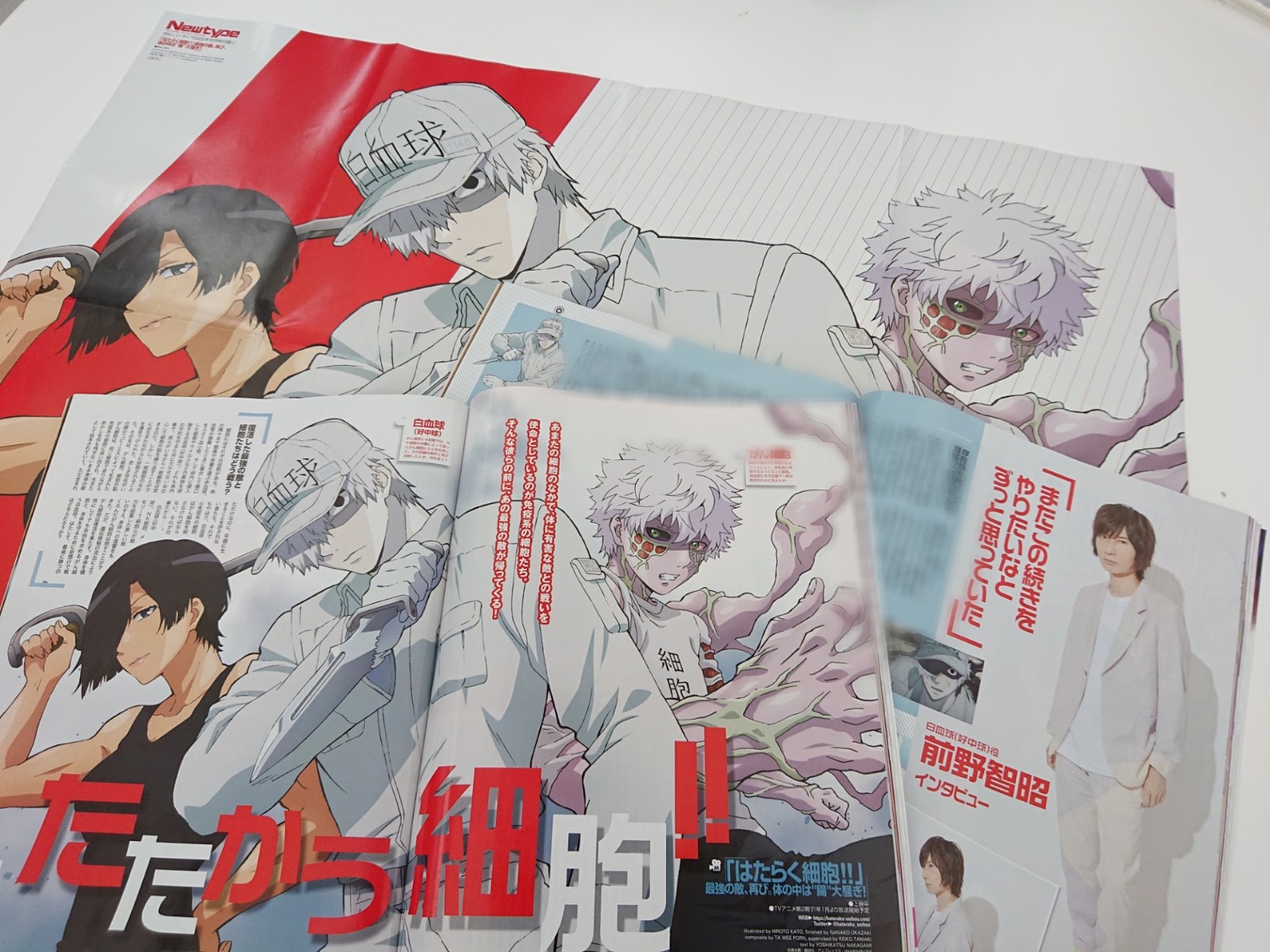 はたらく細胞 クラッシュフィーバー 当選品 直筆サイン 色紙 白血球