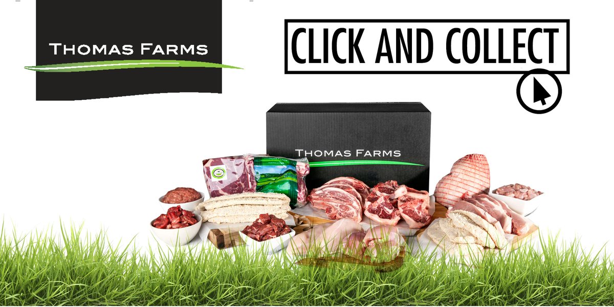 Thomas Farms tweet media