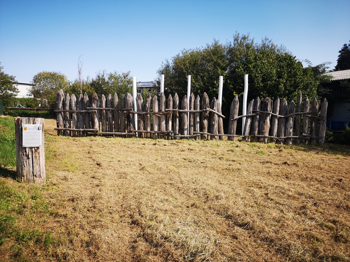 I'm at Markobel on the Upper German-Raetian Limes route where 2002 excavations confirmed that Hadrian erected a palisade as an artificial frontier-work. It was established by dendrochronology that the palisade was constructed out of the trunks of oak trees in AD 120.  #Hadrian1900