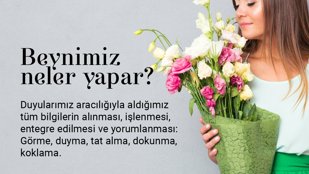 islekelsertac's tweet photo. 👉 https://t.co/DkVaKZf49p
📍 1.Kordon No:370/1 Basın Apartmanı Daire:14 Alsancak İZMİR
☎ +90 232 422 12 00

🔖 #beyinvesinircerrahisi #beyin #beyinvenerji #enerji #düşünce #nöronlar #gammaknife #gammaknifenedir #beyinanevrizması #başağrısı #anevrizma #beyinkanaması #beyintümörü https://t.co/oM0vPzjxki