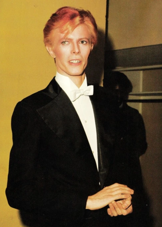 Kermit the Frog as David Bowie (thread)