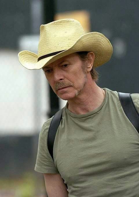 Kermit the Frog as David Bowie (thread)