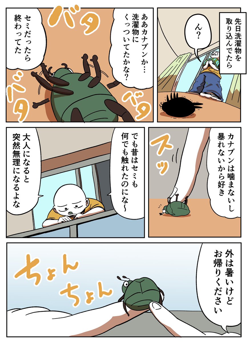 カナブンを助けた話 