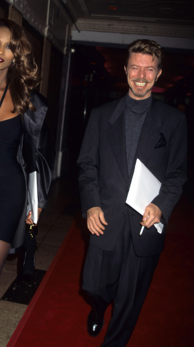 Kermit the Frog as David Bowie (thread)