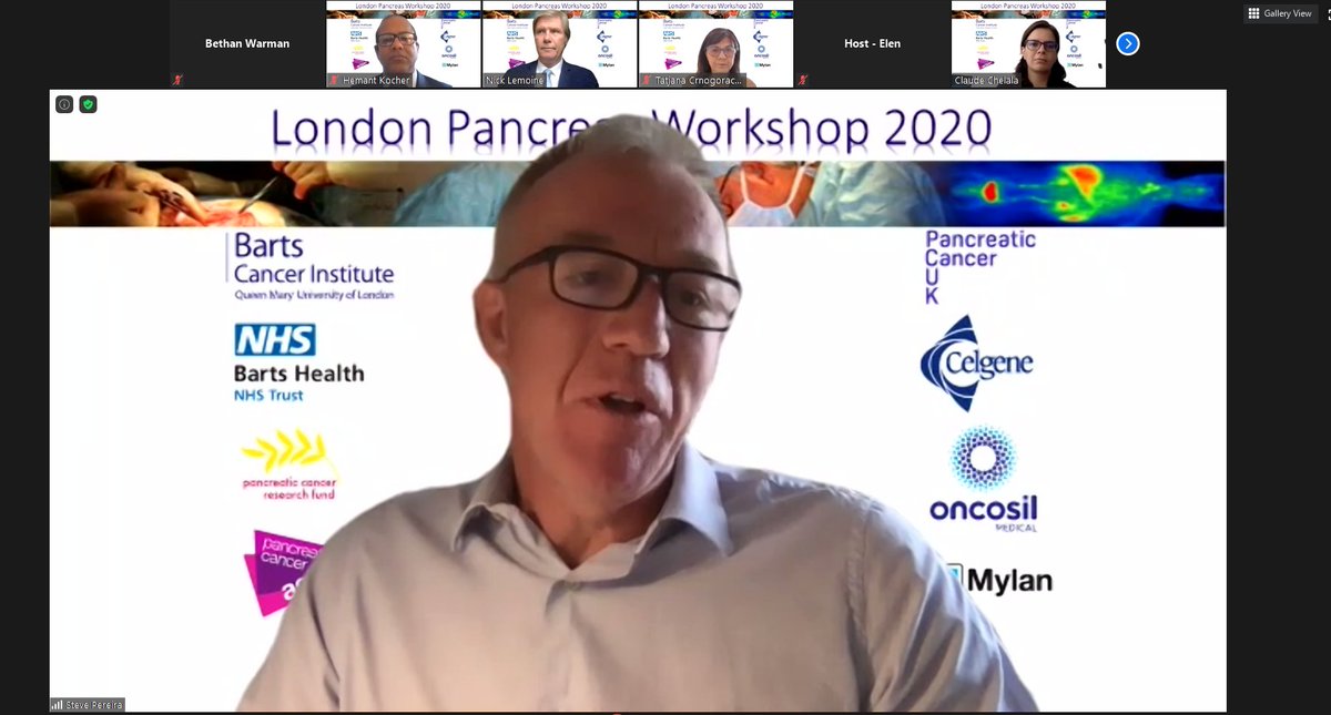 QMBCI's tweet photo. We are now live #2020LPW. Session 1 is focussed on Diagnostics for #PancreaticCancer. Fantastic talks from the first set of speakers - Prof Stephen Pereira, Prof Eithne Costello, Prof Tatjana Crnogorac-Jurcevic & Dr Dayem Ullah. Tune into the Zoom meeting via the website. https://t.co/ODO6CoewEO
