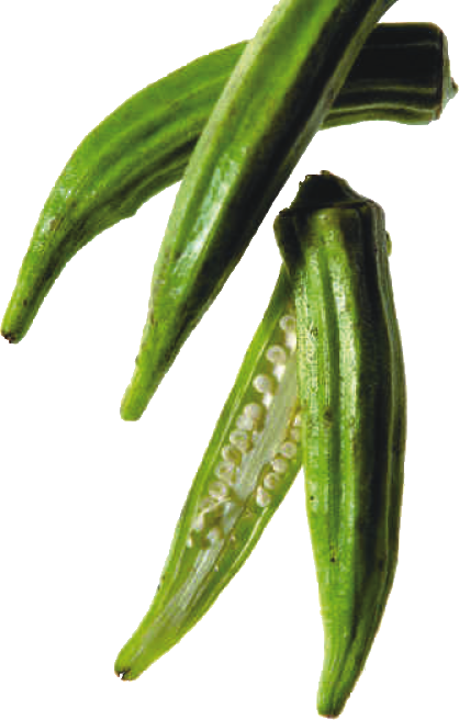 World Vegetable Center Worldveg On Twitter Reopened By Popular Demand Submit Your Abstract Today For Poweronyourplate Traditional Vegetables Summit Submission Closes Sept 25 Don T Delay Https T Co 2ct74xdccb Https T Co Pfyuqugx0t