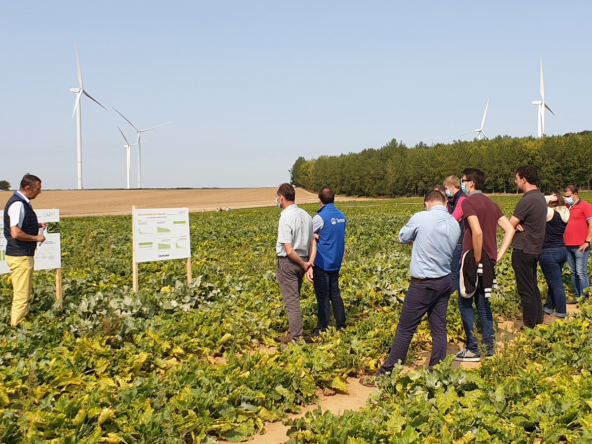 MaximeBoutonDE1's tweet photo. [Cap23] des couverts anti-nématodes en complément de la gamme variétale @DeleplanqueCie ? 
Aujourd'hui c'est ce que nous proposons comme apporteurs de solutions génétiques et agro-environnementales pour les planteurs @Tereos de Chevrières, Bucy et Origny
#visionblue #betteraves https://t.co/mpQBDi8vwv