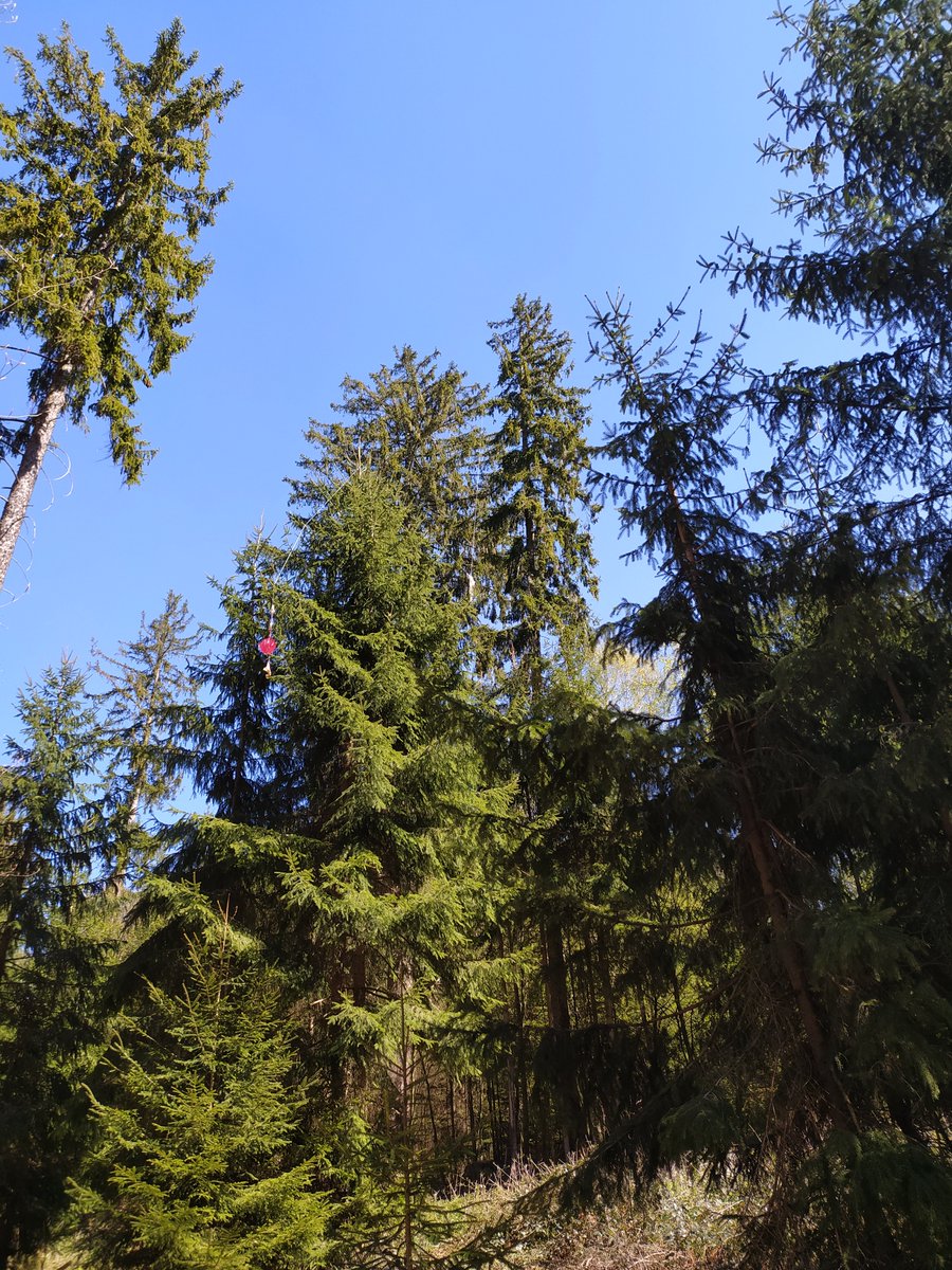 Since you can receive their GPS signal, finding the radiosondes is a little bit like geocaching. Sometimes they cannot be retrieved, e.g. because they end up in the ocean, or in the middle of a motorway. Hunters are used to fetch them from trees.