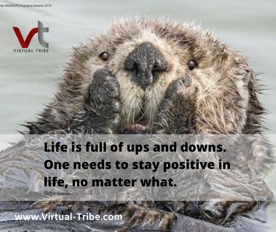 virtualtribe09 tweet picture