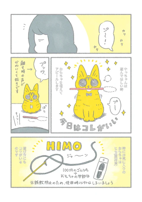 やっちゃんとの遊び方
#茶トラのやっちゃん 