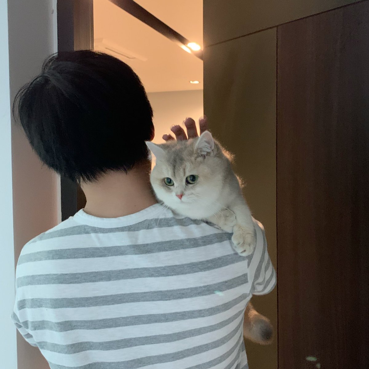 Bonusiie's tweet photo. อุ้มเมียน้อยเข้าห้องกลางวันแสกๆเลยนะคะ https://t.co/oexGyIVwFe