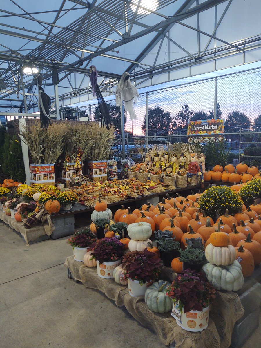 Scott OToole (@scottotoole10) on Twitter photo Lowe's of Culpeper is here for all your Autumn Harvest decor needs!!
<a href="/BlueBoxR1/">@BlueBoxR1</a> <a href="/1290Lowes/">Lowes District 1290</a> Lowe's of Culpeper is here for all your Autumn Harvest decor needs!!
<a href="/BlueBoxR1/">@BlueBoxR1</a> <a href="/1290Lowes/">Lowes District 1290</a>