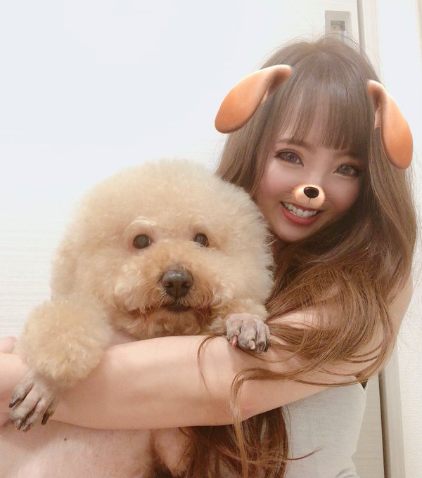 でっかいなぁチャチャ🐶♡ 可愛いなぁ❤️ https://t.co/n53GRrRhvG