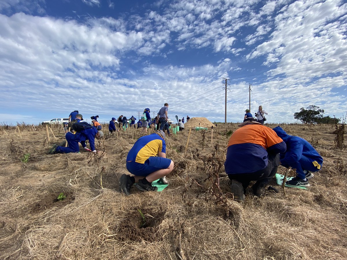 ProjReimaginate's tweet photo. Back to Glenthorne National Park today to plant native trees and shrubs with Environment Minister David Speirs and the team from @GreeningAust https://t.co/IhwWM5urwt
