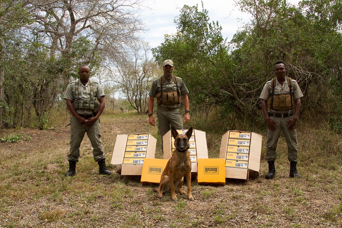 Singita tweet media