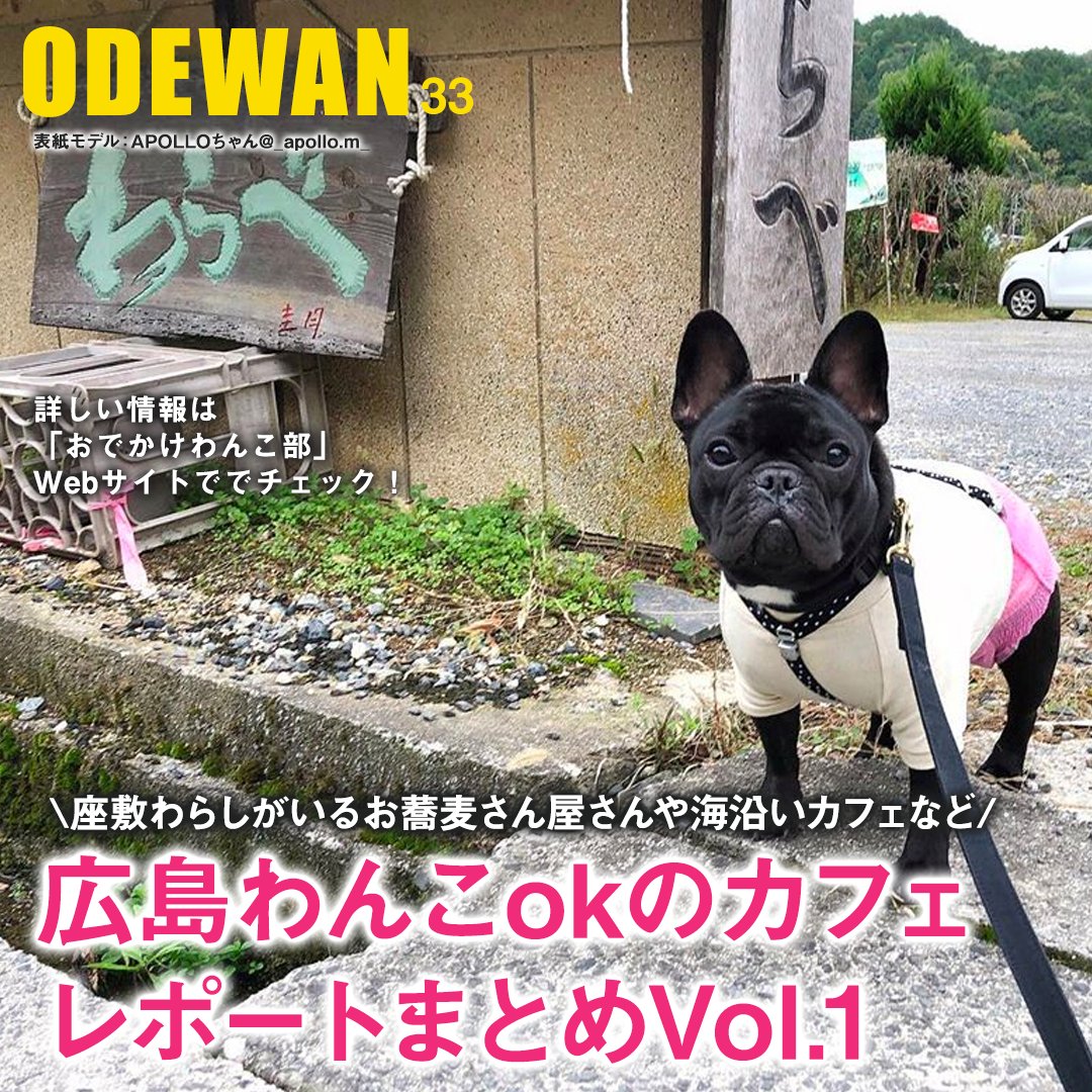 おでかけわんこ部 愛犬とのおでかけ情報 Odewanbu Twitter