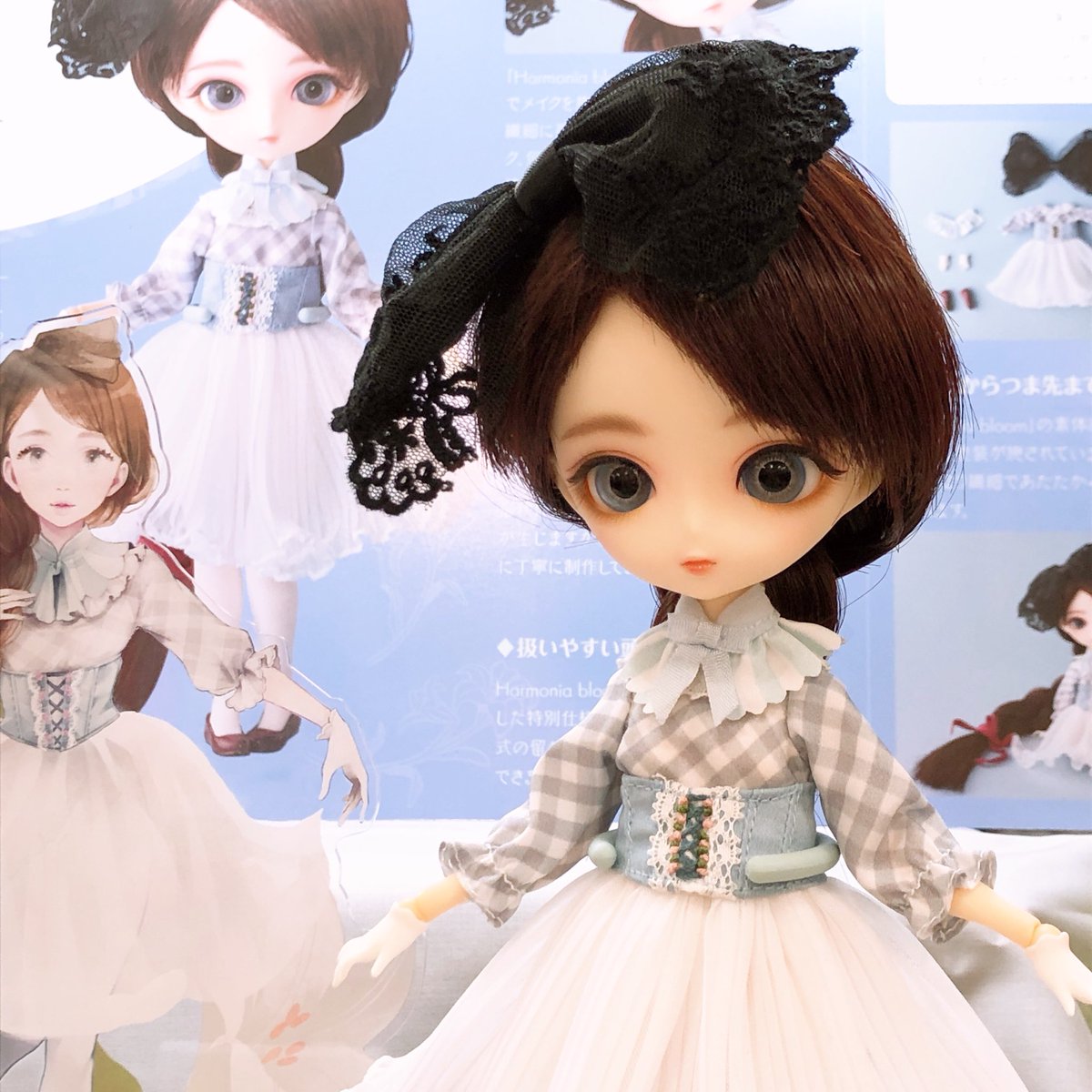 ゴッホ 星月夜 Harmonia bloom ハルモニアブルーム ユリ | terepin.com