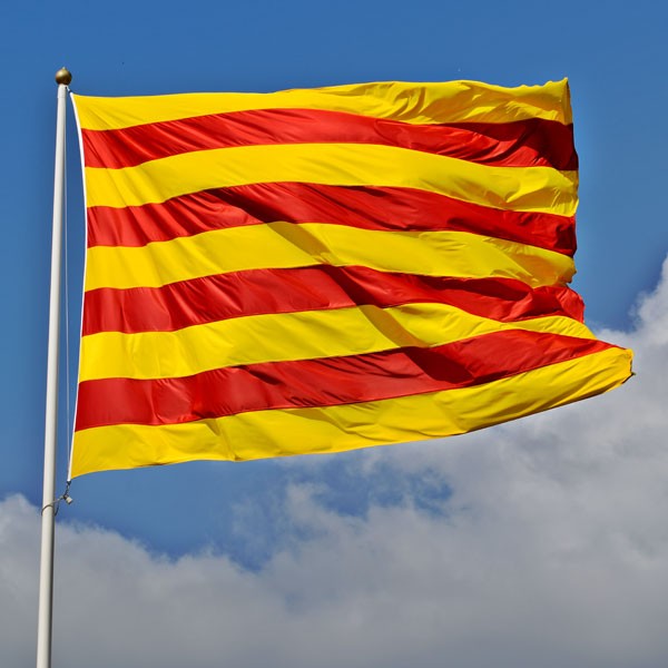 jarnalr's tweet photo. #11deSet Pels catalans de Barcelona, Palma, València, Perpinyà, Elx, Maó, Sabadell, Malgrat de Mar o Vilanova i la Geltrú! https://t.co/HU1GEtmsrI