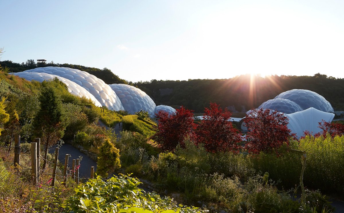 Eden Project tweet media