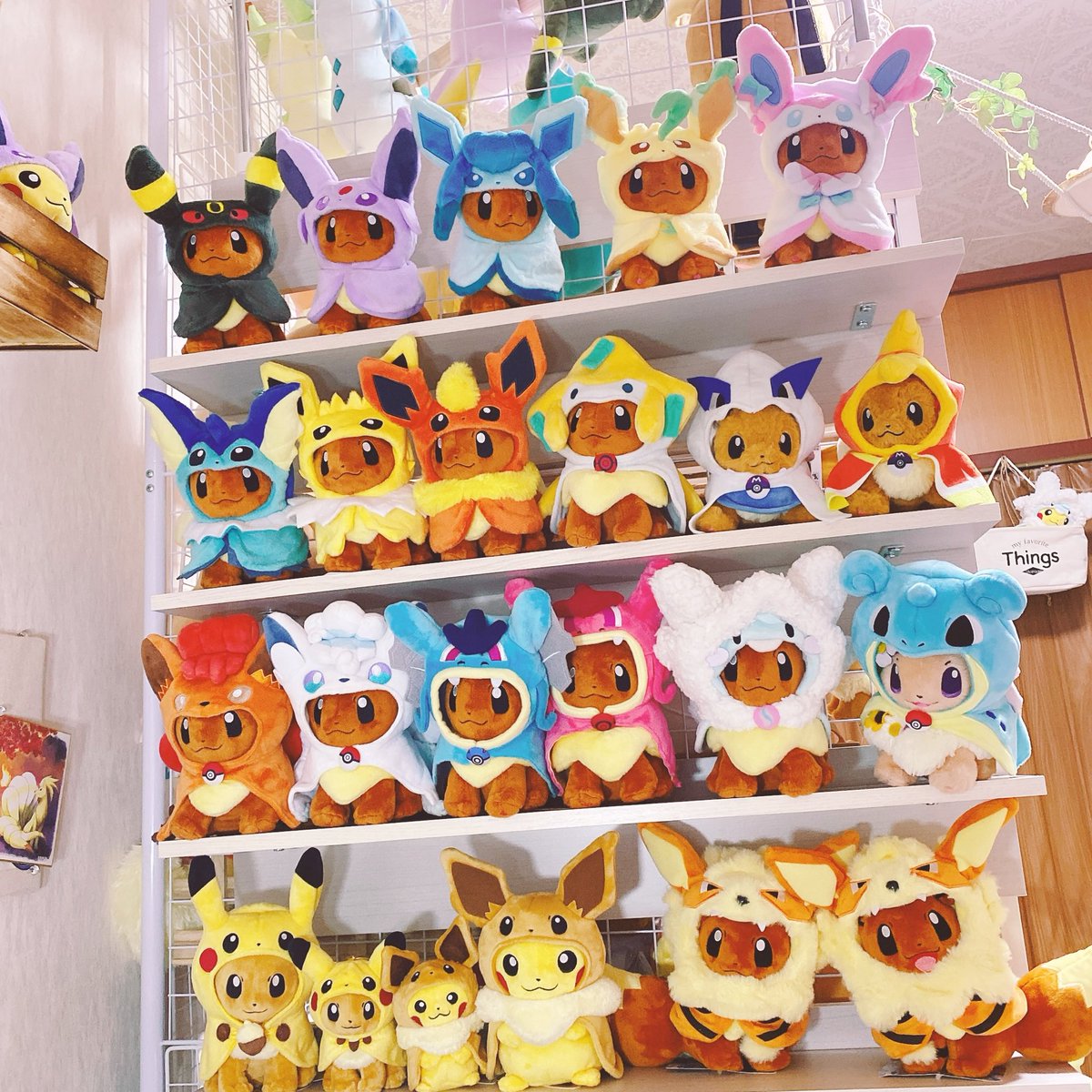 ポンチョシリーズの置く場所を変更して並べてみました✨ 圧巻です