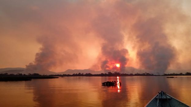 QuebrandoOTabu's tweet photo. O Pantanal está sendo destruído. Animais morrendo. Perdas irreparáveis de fauna e flora. Destruição recorde.

Enquanto isso, o Ministro do Meio Ambiente finge que nada está acontecendo. O presidente ataca ONGs que lutam pra proteger a natureza.

É triste demais.

Fotos da BBC https://t.co/Tu9JQuwGlt