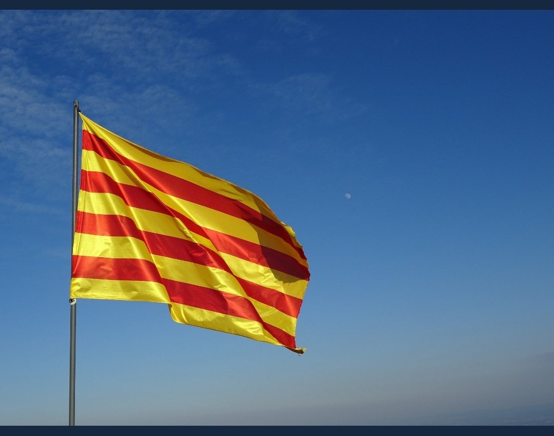fstesfalckvl's tweet photo. Bona diada a tothom! #DiadaNacional2020 #fstes https://t.co/62ZKUwCk4G