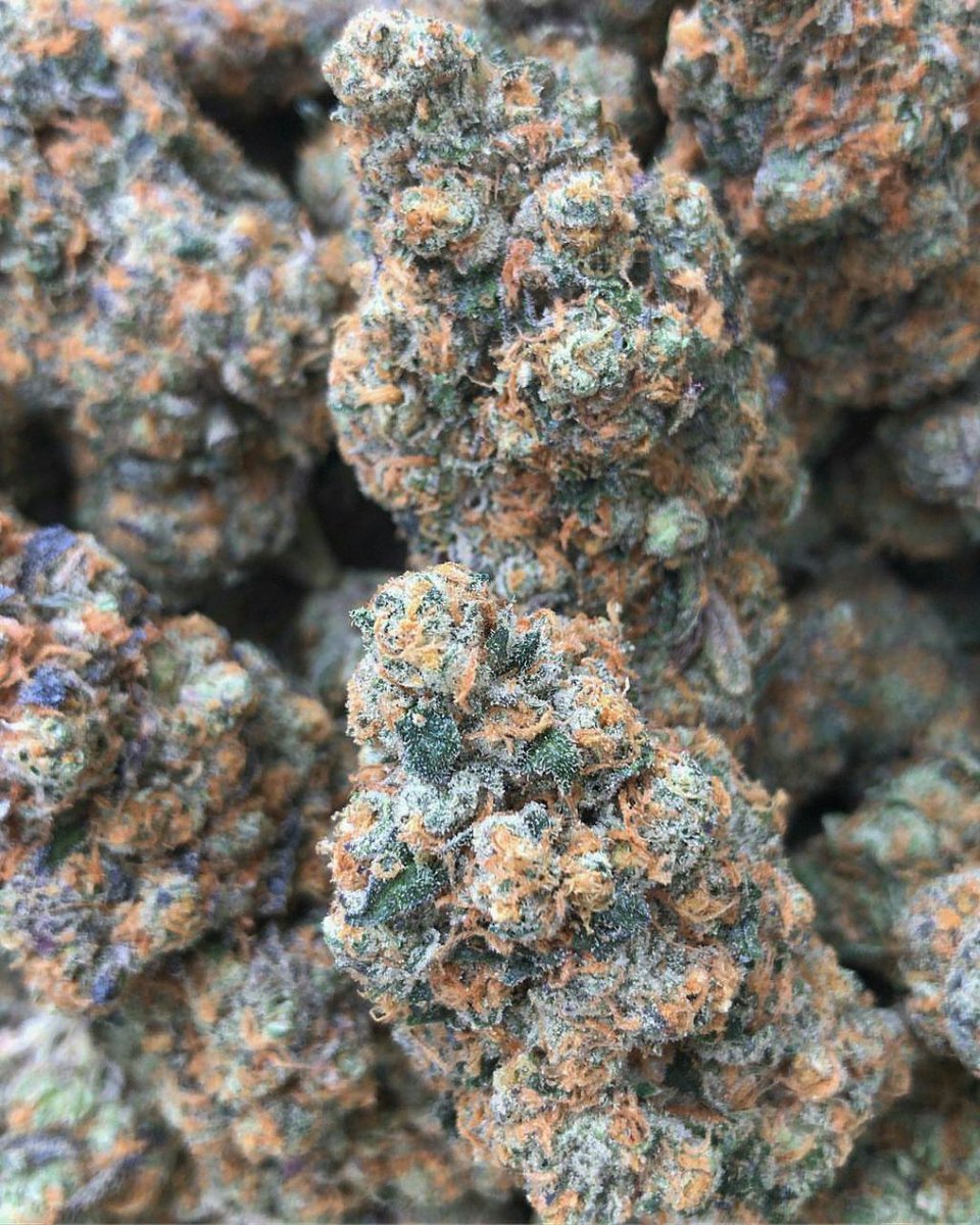 Shatter Day is Everyday feel good contact +19094479820
#dank #highlife #cannabiscommunity #kush #medicalmarijuana #stoner #weedstagram420 #thc #stoned #hemp #420life #indica #maryjane #smoke #cannabisculture #cbd #cannabis #ganja #sativa #hightimes #highsociety #dabs #marijuana