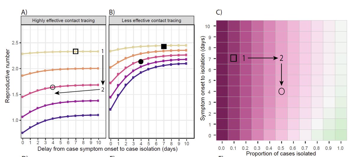 The big message: if you don’t capture enough cases from the untraced population, speed and coverage of contact tracing programs don’t have a huge impact. Those community cases are the seeds from which every other part of a test-trace-isolate program springs. (4/16)