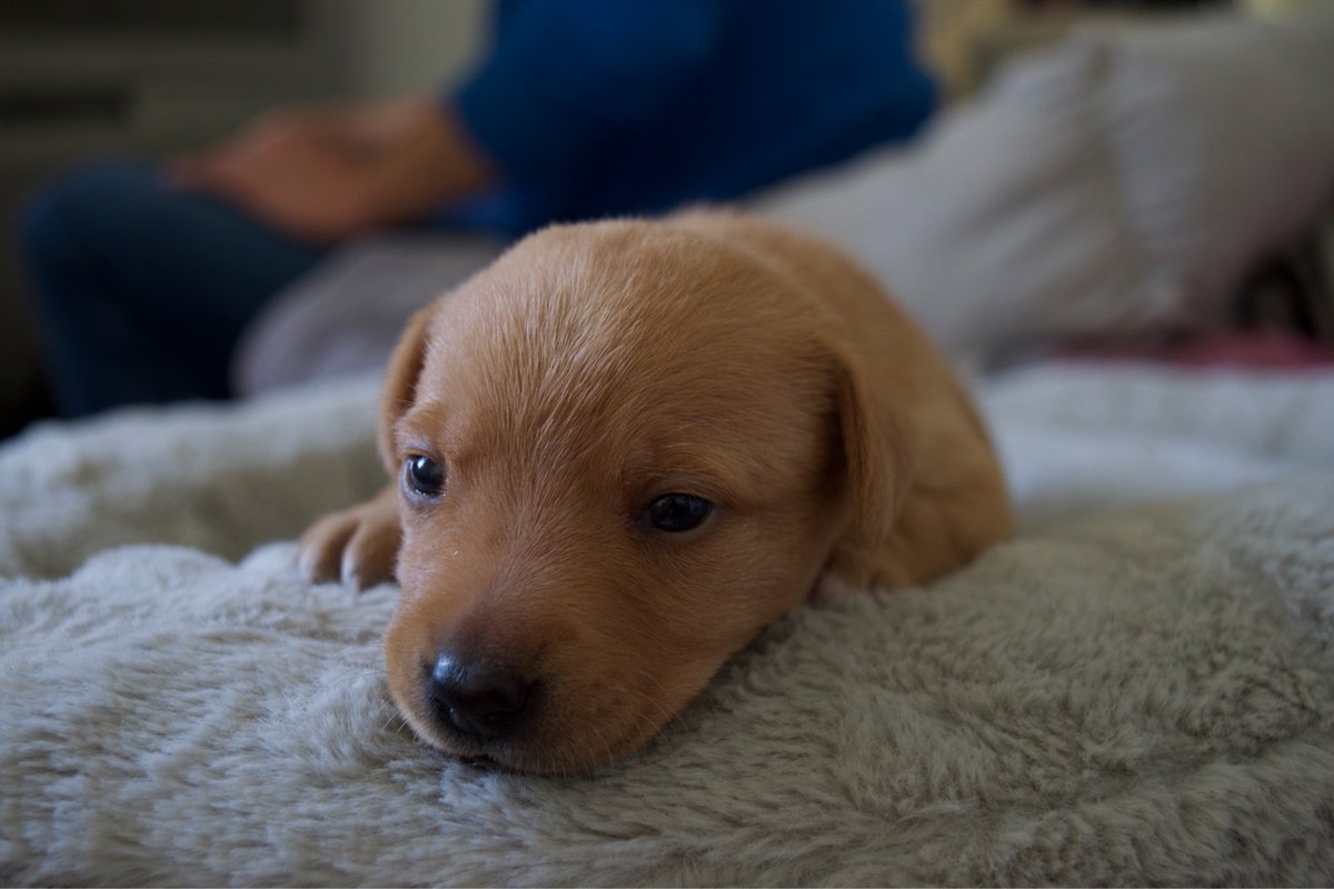 Das wird vllt meine neue Gefährtin ❤️