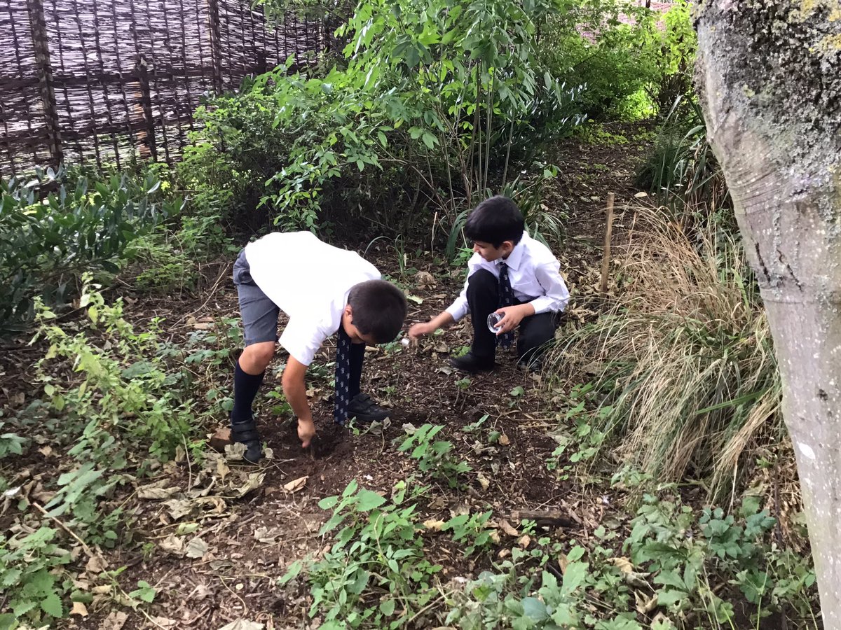 LaxtonJunior's tweet photo. Studying organisms in their habitats: snails on buddleja leaves and @LaxtonJunior pupils in our fabulous woodland garden! Science in the sunshine! #WeAreLJS #LJSScience #LJSYear4 #LJSYear5 https://t.co/9oyfr4xwMq