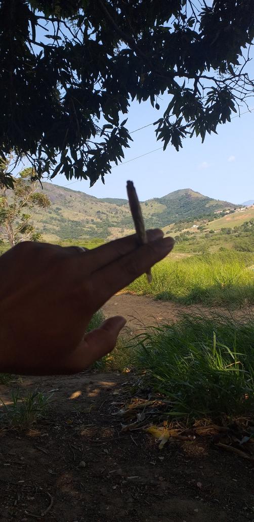 romimstik's tweet photo. "Di roça brt" slv 027 https://t.co/CJ7wsNaMFW
