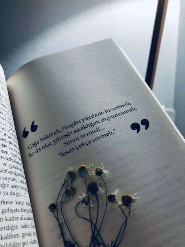 Can (@hilmicans) on Twitter photo 