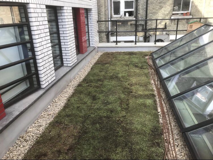 Green roof installation completed in Chinatown. More biodiversity in the west end @Shaftesburyplc <a href="/Wild_West_End/">Wild West End</a> #greenroof #sedumroof #sedum #biodiversity #westend #london #londonswestend #chinatown #chinatownlondon