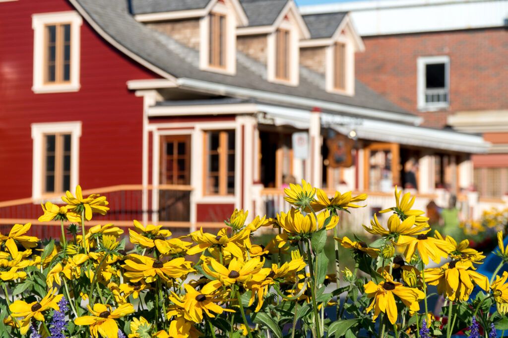 Jennifer est allée voir ce que Rivière-du-Loup avait à offrir au nom de son blogue <a href="/moimessouliers/">Moi, mes souliers...</a> Elle vous raconte son périple de découverte en découverte et de coucher de soleil en coucher de soleil : buff.ly/2CWxih0 #partenariat <a href="/TourismeRDL/">Tourisme Riv-du-Loup</a> et <a href="/VoyagenumeriQC/">Voyage numériQC</a>