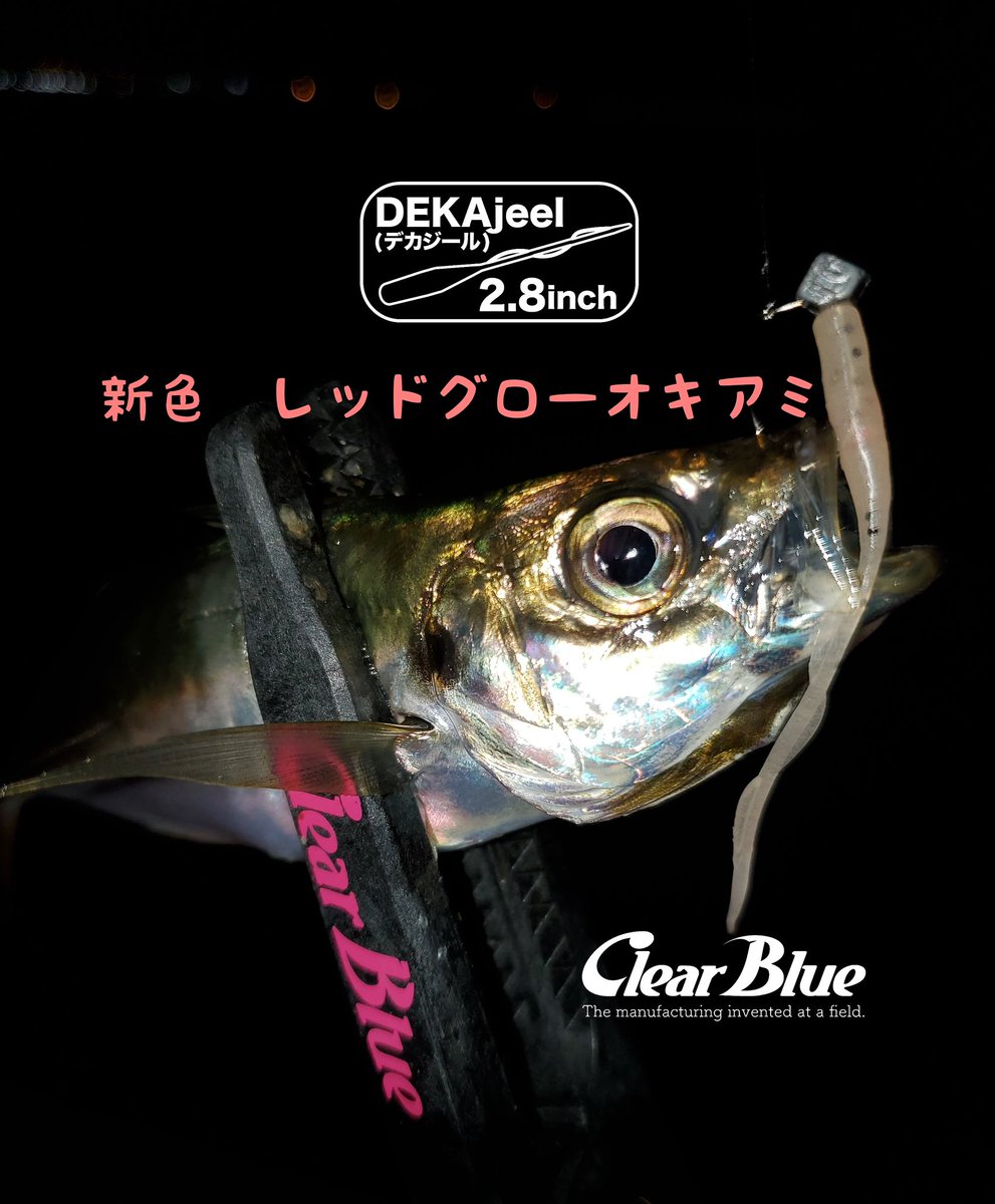 ippei_ClearBlue's tweet photo. まだまだ探せば必ずいるアジ。
見つけられた時は嬉しいですよ🎵
そう、私は諦めの悪い男(笑)
#アジ #アジング #クリアブルー #ClearBlue #サイコロヘッドsoku #デカジール #新色 #レッドグローオキアミ #ブルーマジック64エキサイター #BlueMagic64EXCITER #青森市 #陸奥湾 https://t.co/epTaktMmi6