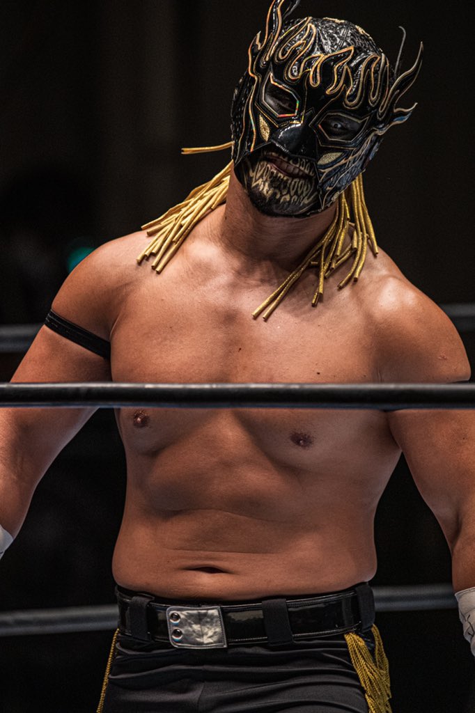 超激安 新日本プロレス エル・デスぺラード マスクパーカー
