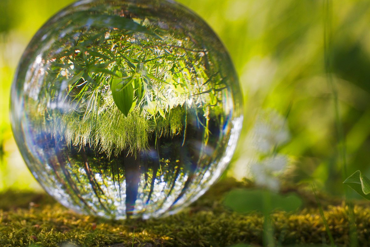 🚀 Ateliers futuristes: Comment vivrons-nous dans les Cévennes en 2070 ?

Venez imaginer le Parc national des Cévennes de demain avec les futurologues de <a href="/vrmtvrmt/">Vraiment Vraiment</a> 

📆 25/09
⏰ 9h30 – 12h30
📍 Institut Agro - Florac

Inscription:
cevennes-parcnational.fr/fr/des-decouve…

#50ansPNC #Futur