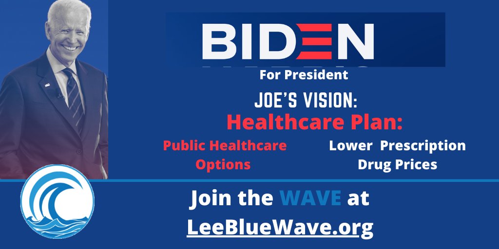 LeeBlueWave's tweet photo. Elect leaders who will save affordable healthcare! Don't end healthcare for 20 million Americans during a pandemic! Be safe - Vote-by-Mail! #LeeBlueWave #FLBlueWave #LeeDems #BidenHarris https://t.co/6qkUxC8bik