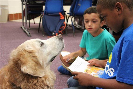 shelterpetstoys's tweet photo. This is Bretagne, the last surviving 9/11 search and rescue pup.

Bretagne passed away in 2016 at the age of 16. In addition to her work after 9/11, Bretagne also assisted with Hurricane Katrina, Hurricane Rita, and Hurricane Ivan.

One of the greatest hero pups! #NeverForget https://t.co/yXGXjZHx7q
